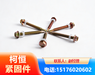 亳州六角钻尾丝